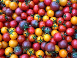 بذر گوجه چری میکس